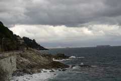TUPI1236
