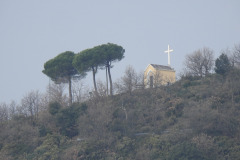 DSCN1244