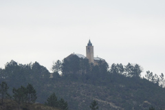 DSCN1263
