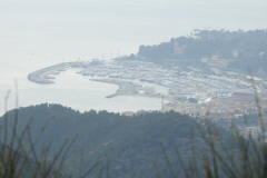 DSCN1265