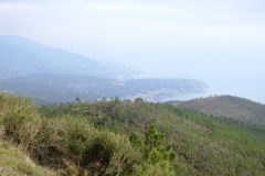 DSCN1276