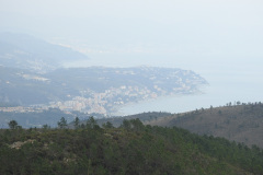 DSCN1281
