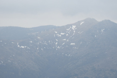 DSCN1294