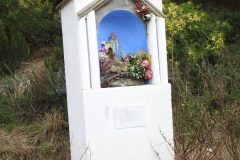 DSCN1298