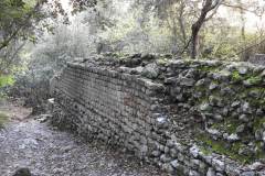 DSCN1210