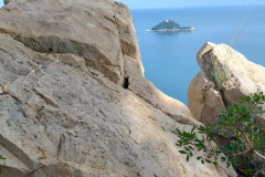 0308daf3-3d2a-4ce1-8188-8de194c43841