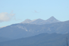 DSCN0248