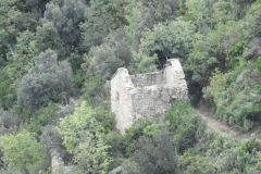 DSCN0256