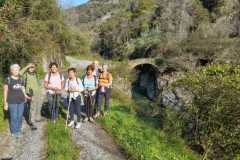 24ea69e9-5e36-4275-8aa2-62a78e339c74