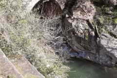 668f08a3-17be-46d9-9071-3b08a59bbf06