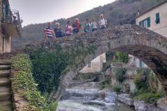 a96f11cb-cc97-4443-8287-7c185a2fd1b5