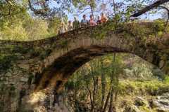 e8c30ed9-bba3-4d0c-9b1c-411ed46d6bc1