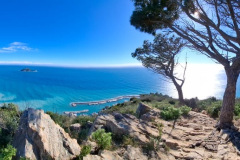 48a8e454-b5f0-456f-9921-c93d8ff0cb7e