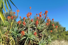 dd4092a3-6389-448e-bb1e-c28eadce2175