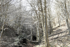 DSU084