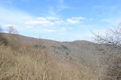 DSU088
