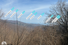 DSU091