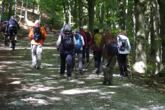 Camminata Barbottina e Catalano, 12 maggio 2026