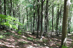 DSCN0035