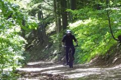 DSCN0043