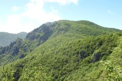 DSCN0060