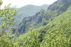 DSCN0061
