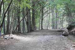 DSCN0065