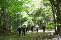 DSCN0068