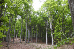 DSCN0076