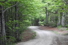 DSCN0084