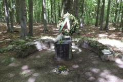 DSCN0087
