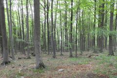 DSCN0094