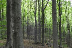 DSCN0095