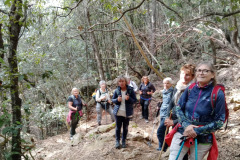 0e9e1f3e-d042-46d2-b1fa-93cc7b06720e