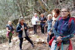 220554a5-4dbf-4a39-8f6a-d6c18286c915