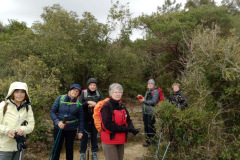 7e95b38b-020e-4a65-9e73-e142bebda423