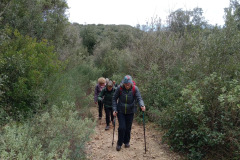 b655a87e-b564-409a-ad21-8e89dd0b83e5