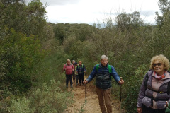 e513db17-871a-4f03-bf76-9058649d7423