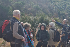 12aeac39-2b68-430a-8dca-79de2ed1cf18