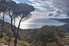 141ff679-805c-4400-bad0-c3d889a4fe70