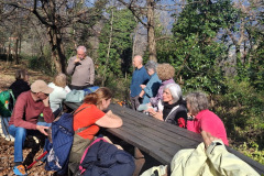 47010132-21a1-4e16-86fe-b5353e6da915