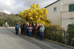 72c3265c-b9b4-4d37-846f-02d16f725af7