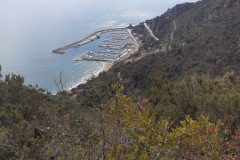 110848bc-ff9f-4082-9e62-cb95073ca568