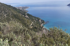 35317456-7376-4ca8-881d-3d6324d7d0d7