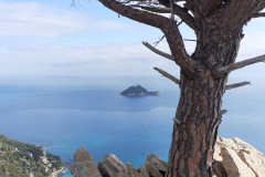 7b2c0678-ed9e-4ad5-a242-46969e1c9079