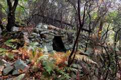 IMG_3478a
