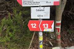 IMG_3482a