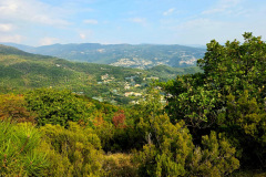 IMG_3482c