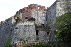 DSCN1306