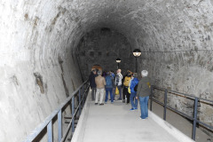 DSCN1310
